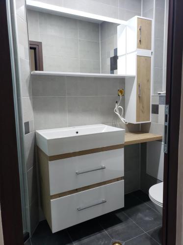 67801475_2967263973300207_4355511628905578496_n