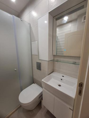 viber image 2024-09-11 12-38-05-910